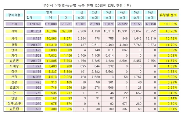 부산시 장애인 유형별·등급별 등록현황(2018년 12월). ⓒ부산시