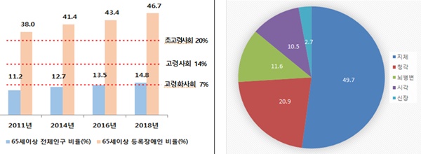  65세 이상 노년층 장애인 수가 지속 증가하는 추세.ⓒ보건복지부
